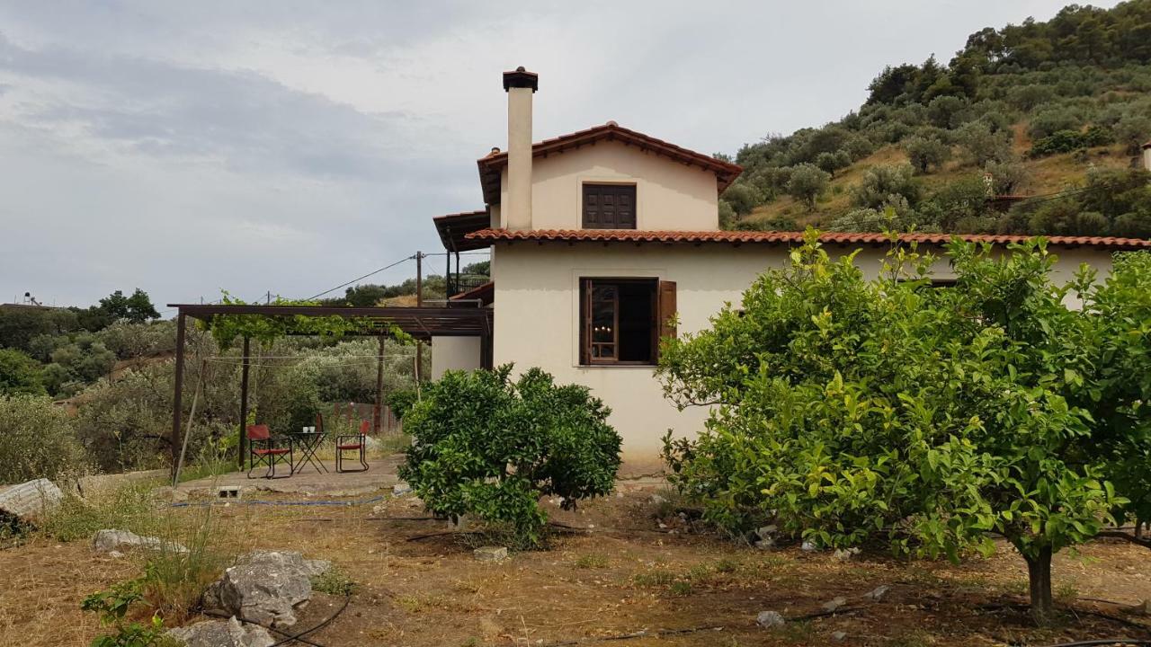 Ample Modern Country Home Nea Epidavros Luaran gambar