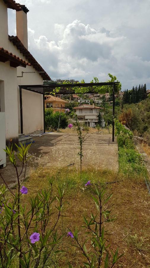 Ample Modern Country Home Nea Epidavros Luaran gambar